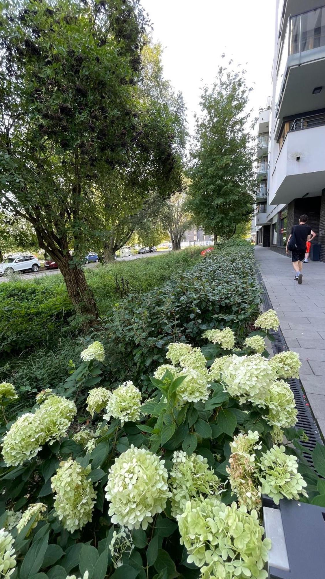 Apartamenty Warszawa Centrum Wlodarzewska 30 ภายนอก รูปภาพ